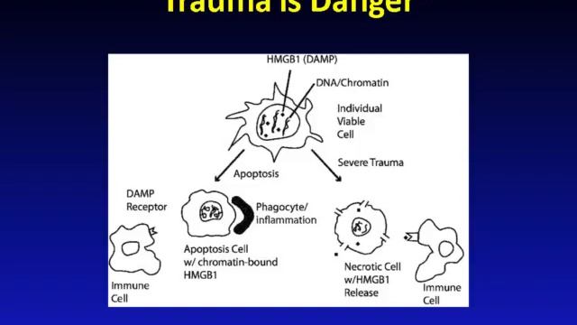 Sepsis biomarkers in polytrauma (London 2012)