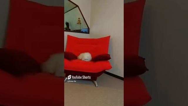 КОЛЬ-ОК (3) смотреть онлайн