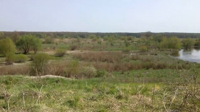 Байбаки в Двуречанском НПП смотреть онлайн