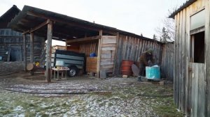 ОБЖИВАЕМ СТАРЫЙ ДЕРЕВЕНСКИЙ ДОМ | ПОСТАВИЛИ НА ЗИМУ ПЕЧЬ И ЗАКВАСИЛИ КАПУСТУ | СТРОЮ ПРЕДБАННИК