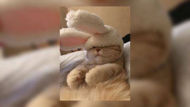 Aqua - Barbie Girl (speed up) смотреть онлайн