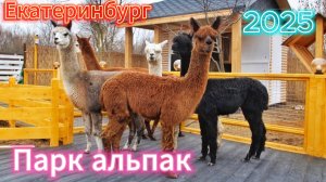 Новый парк в Екатеринбурге «Альпак». Сходили, посмотрели как там