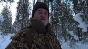 Охота на волков в окладе. Охота на волка с флажками.