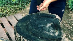 ДЭКО БОШ ЗИТРЕК что выбрать если денег нет ?