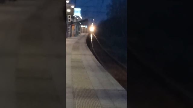 Электропоезд ЭД4М-0241 с сообщением Москва(Курский Вокзал)-Электрогорск на станции о.п.14 км. смотреть онлайн