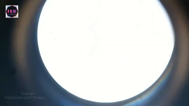 Vixen ARENA 10x25 Binocular Review and Zoom Test Video смотреть онлайн