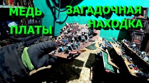 Куча меди! Платы, латунь и алюминий! Необычная находка в старом холодильнике!