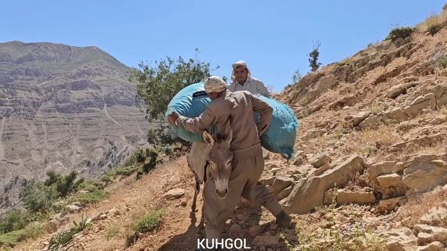 IRAN Nomadic Life | Gathering Fodder For Sheep And Difficult Roads | Nomadic Lifestyle Of Iran Part