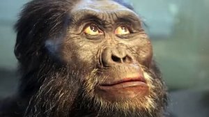 ПОЛНАЯ ИСТОРИЯ ЗЕМЛИ. ЭВОЛЮЦИЯ ЧЕЛОВЕКА