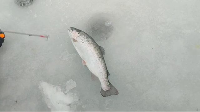 WhatsApp Video 2025-01-18 at 10.16.02 смотреть онлайн