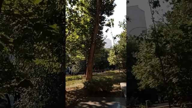 Москва 16. Сквер Ивана Бунина на Поварской смотреть онлайн
