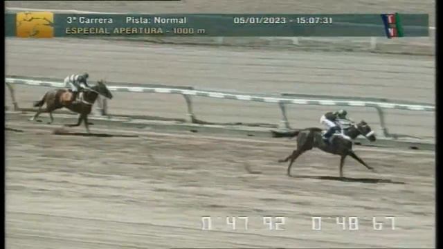 Carr. 3 Premio: ESPECIAL APERTURA 05-01-2023 смотреть онлайн