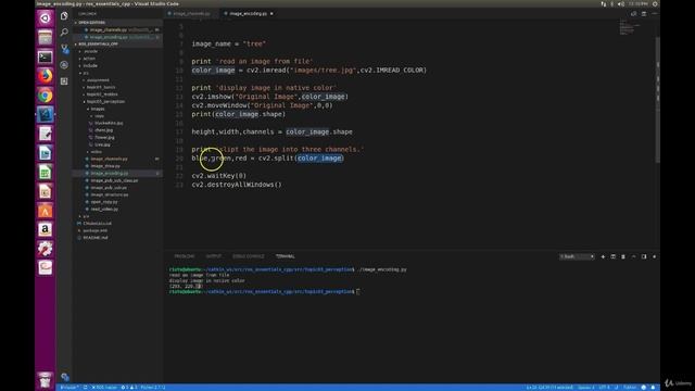 13.5. OpenCV Image Encoding (Python) смотреть онлайн