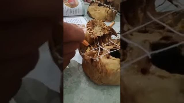 VIDeo antiguo de Moli смотреть онлайн