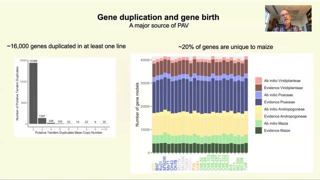 NAM genome assembly: talk presented at Maize Meeting 2021 by Prof. Kelly Dawe. смотреть онлайн