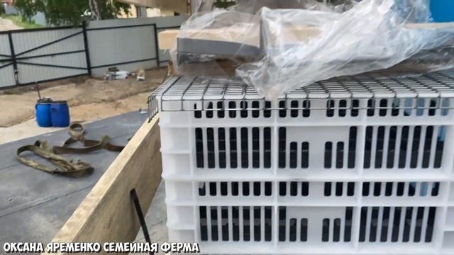 Инкубатор Стимул / Транспортная компания ПЭК / Не всё так просто♀️ смотреть онлайн