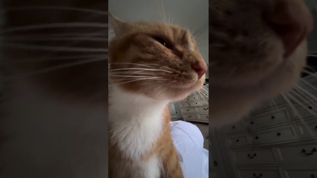 VID_20250118_112857_388.mp4 смотреть онлайн
