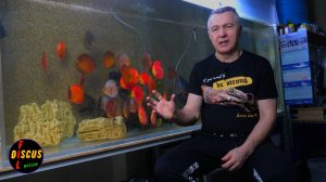 ЭТО ВАЖНО ЗНАТЬ!!! Для содержания здорового дискуса и не только!