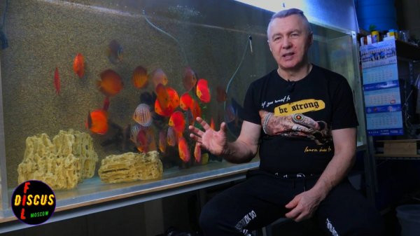 ЭТО ВАЖНО ЗНАТЬ!!! Для содержания здорового дискуса и не только!