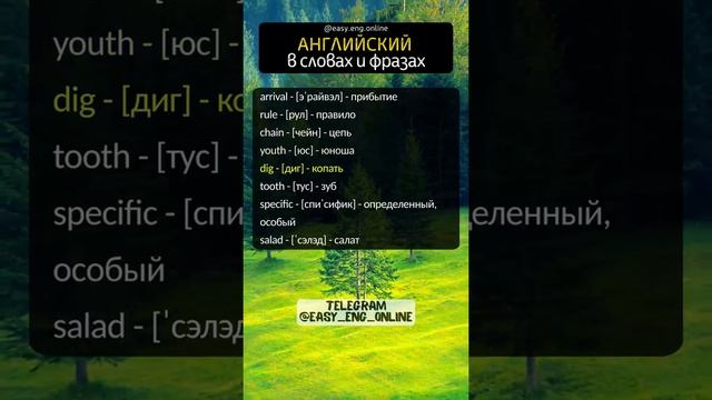 🎧🇬🇧 АНГЛИЙСКИЙ ДЛЯ ВСЕХ 👆 Слова на английском смотреть онлайн