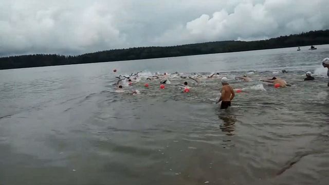 Кузбасс соревнования открытая вода!!! смотреть онлайн