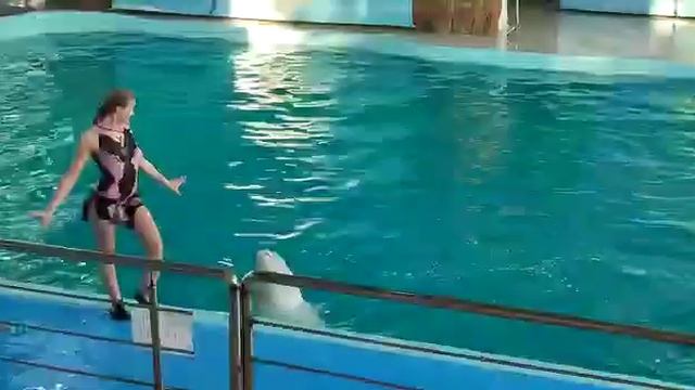 Белуха смотреть онлайн