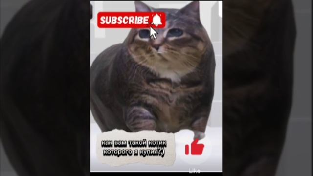 КУПИЛ МИЛОГО КОТИКА 🐱В РОБЛОКС смотреть онлайн