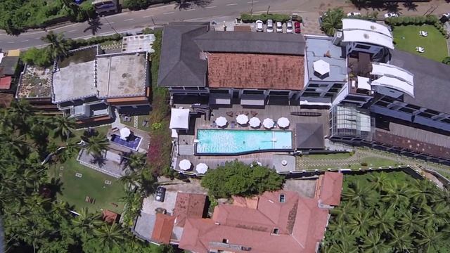 Turtle on the beach Ariel View смотреть онлайн