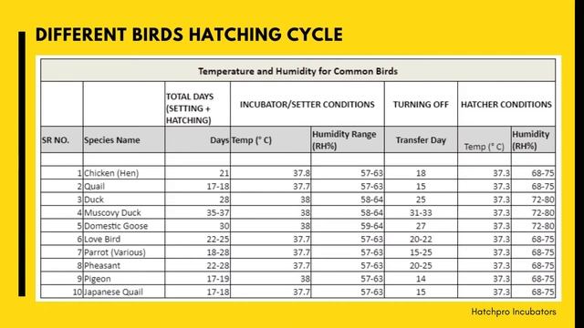 Best 64 egg incubator fully automatic | Egg Incubator Temperature and Humidity | hatchpro.in смотреть онлайн