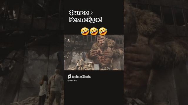 Притворился мёртвым 😁 смотреть онлайн