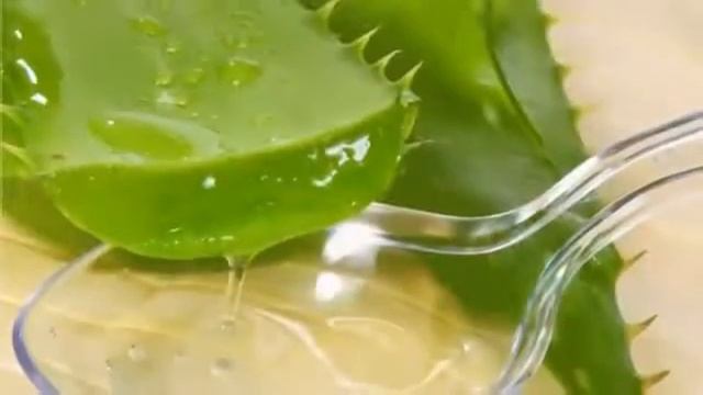 СОЧ ВА ЮЗ УЧУН ЖУДА ФОЙДАЛИ НИКОБ.