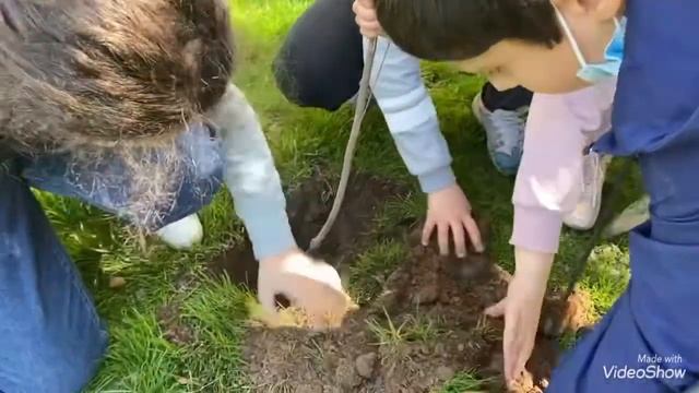 ծառատունկ смотреть онлайн