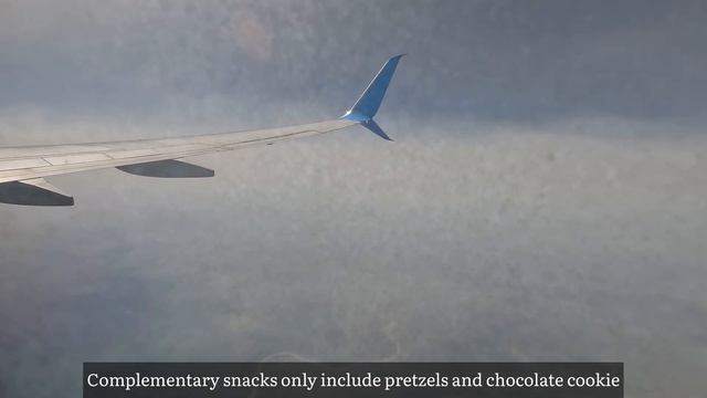 WESTJET Calgary to New York (JFK) Boeing 737-800 TRIP REPORT смотреть онлайн