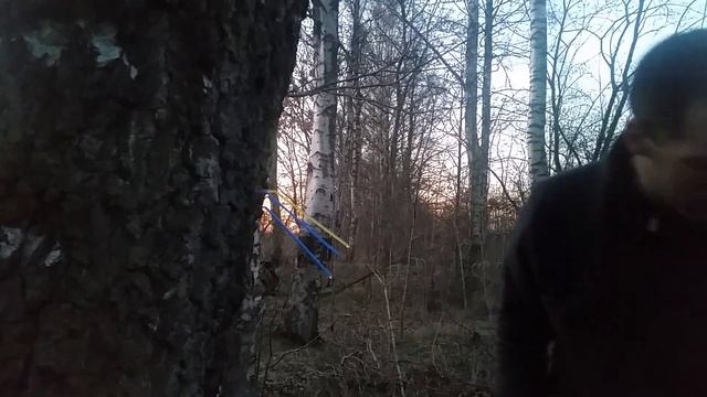 Добыча берёзового сока смотреть онлайн