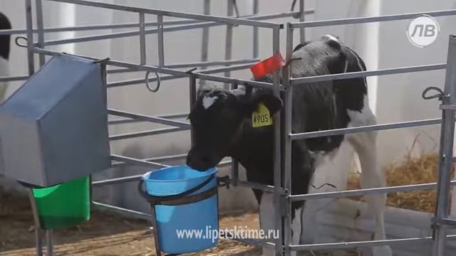 Бывшим труженикам сельского хозяйства показал... смотреть онлайн