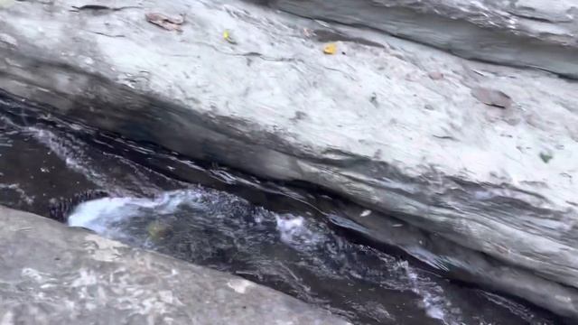 SETLAK LUI | CHILDHOOD FRIENDS | OUTING смотреть онлайн