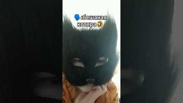 идея моя #квадробика #черный #кошка #Чернышка смотреть онлайн