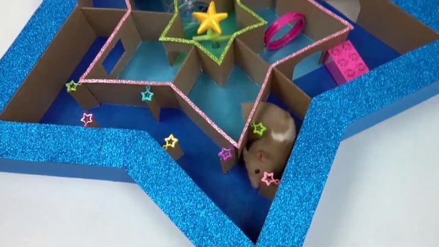Hamster Star Maze смотреть онлайн