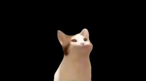 POP CAT 1 HOUR-ПОП КЭТ 1 ЧАС