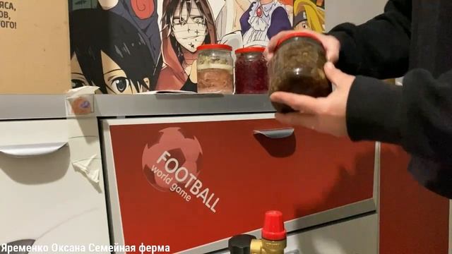 Автоклав Малиновка Смарт Шеф 35Л Электрический / Обзор смотреть онлайн