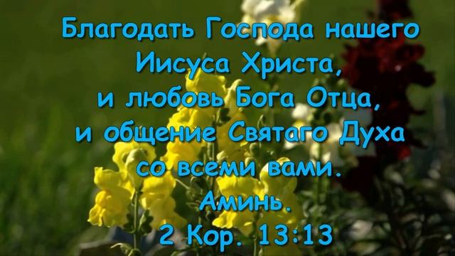 Аллилуйя, Аллилуйя! Ты наш Бог смотреть онлайн