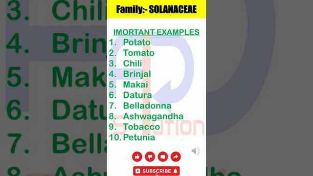 Family:- SOLANACEAE | Important example | Class 11th | NEET & CBSE | #neet #study #biology #botany смотреть онлайн