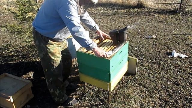 Присоединение безматочной семьи смотреть онлайн