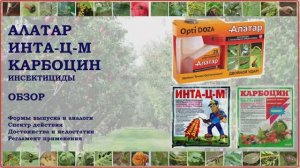 Алатар, Инта-Ц-М, Карбоцин - средства от вредителей широкого спектра действия. Обзор инсектицидов