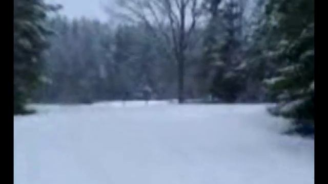 Händiga Robert På Styva Linan смотреть онлайн