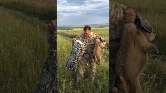 Гермосумка для сурка смотреть онлайн