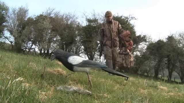 The Airgun Show – decoying corvids with the Daystate Pulsar, PLUS the BSA Comet EVO on test смотреть онлайн