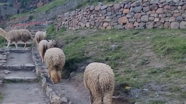 18 апреля 2024 г. смотреть онлайн