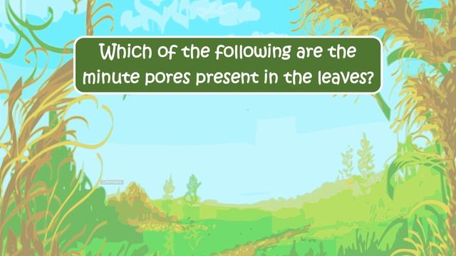 Quiz Time l Photosynthesis l Science for Kids смотреть онлайн