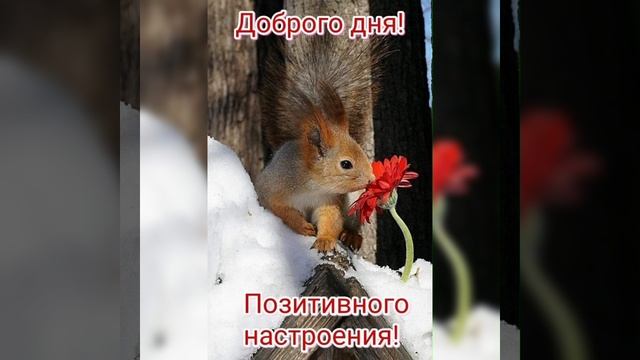 С Добрым зимним утром⛄🥰❄⛄❄ смотреть онлайн